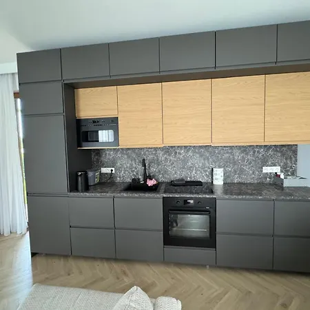 Apartment Nadmorski Dwor Premium With Parking Sauna & Gym By Lion Gdansk